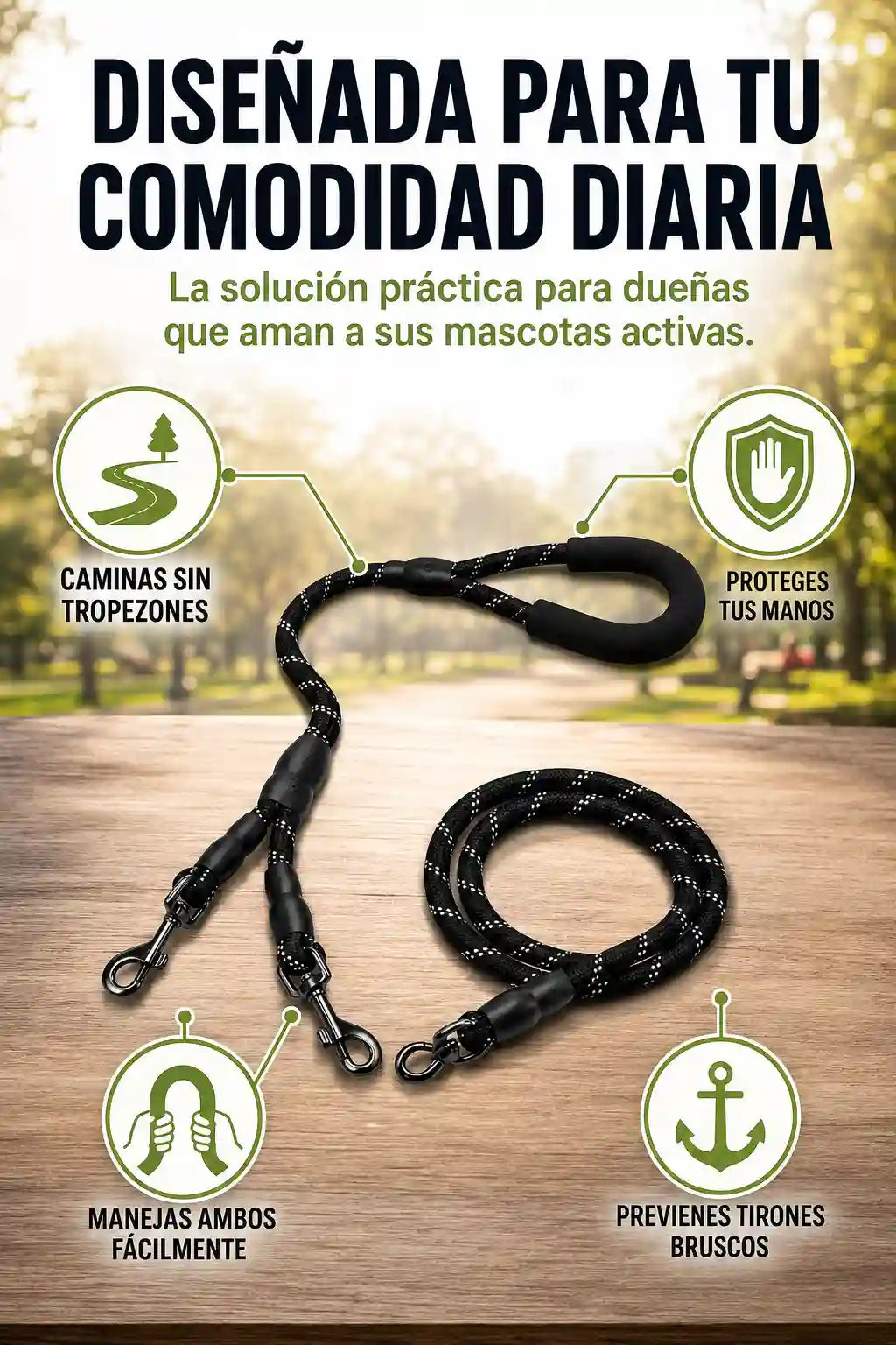 correa-doble-seccion-03.webp